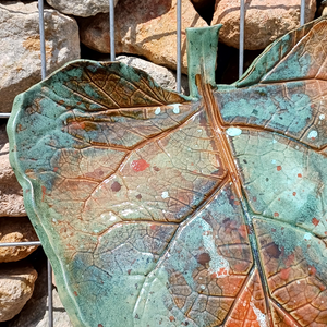 Wunderschönes, Buntes Blatt